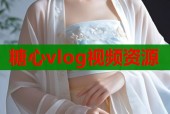 糖心vlog视频资源