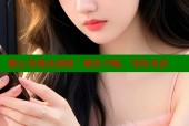 糖心免费高清剧：精彩不断，等你来看
