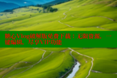 糖心Vlog破解版免费下载：无限资源，一键编辑，尽享VIP功能