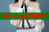 糖心vlog蓝莓视频