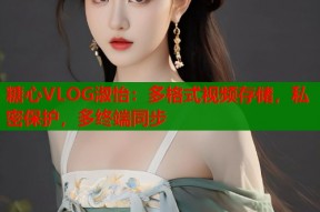 糖心VLOG淑怡：多格式视频存储，私密保护，多终端同步
