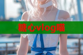 糖心vlog喵