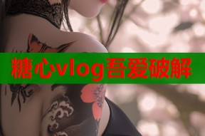 糖心vlog吾爱破解