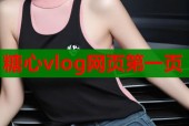 糖心vlog网页第一页