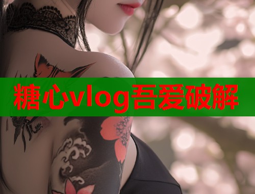 糖心vlog吾爱破解  第1张