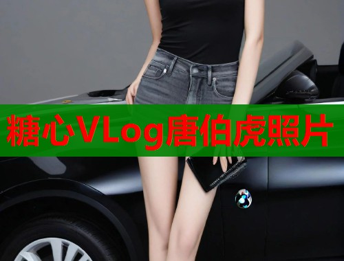 糖心VLog唐伯虎照片  第1张