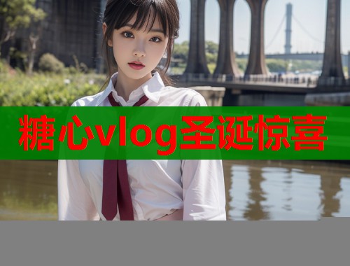 糖心vlog圣诞惊喜  第1张