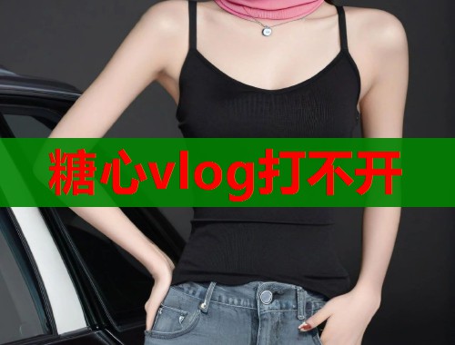 糖心vlog打不开  第1张