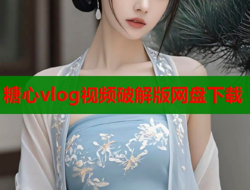 糖心vlog视频破解版网盘下载  第2张