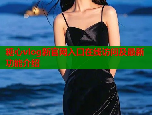 糖心vlog新官网入口在线访问及最新功能介绍  第1张